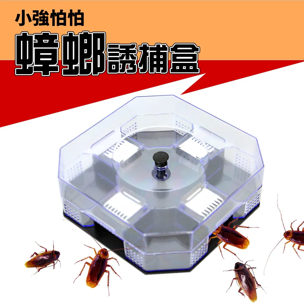 誘捕！不聽話的寵物男孩 03》小說，首刷，尖端，Mae 前，小杏桃。會場限定特裝版。動漫節代購 歷史價格詳細信息