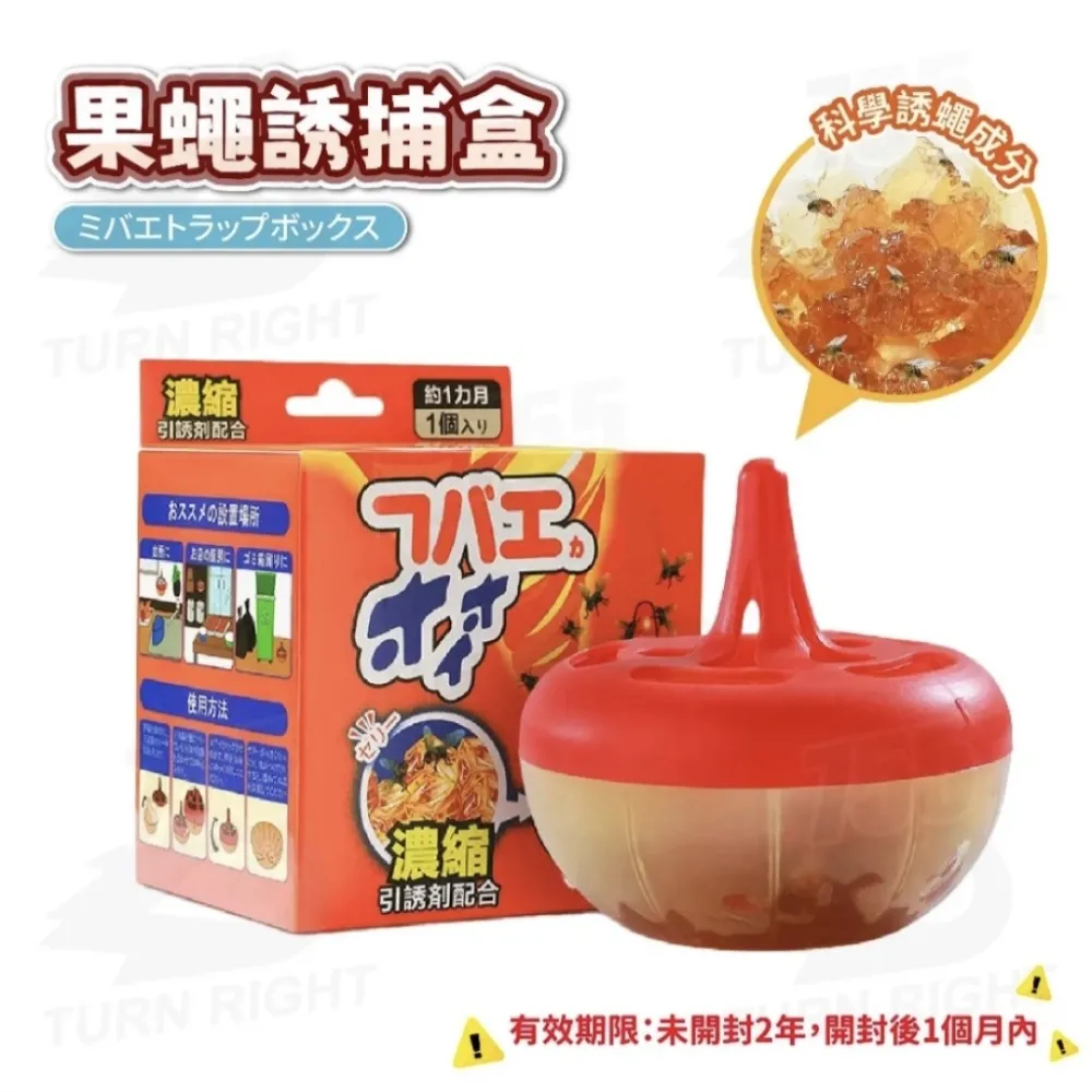 【滅蠅】雙效果蠅誘捕器 10入組 操作簡單 科學配方 快速引誘 歷史價格詳細信息