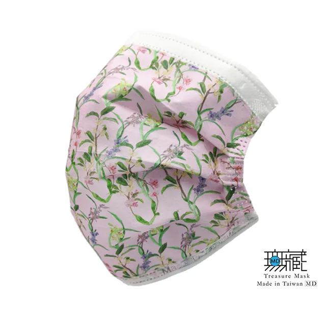 【無藏生醫】時尚斑馬 三層防護口罩｜成人款5入裝*6包 歷史價格詳細信息