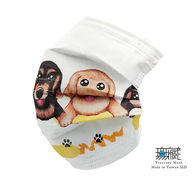 【無藏生醫】時尚斑馬 三層防護口罩｜成人款5入裝*6包 歷史價格詳細信息