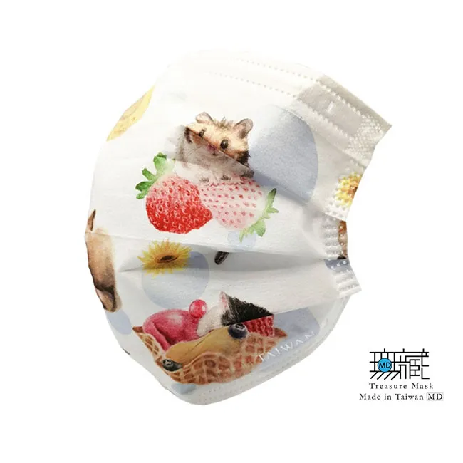 【無藏生醫】時尚斑馬 三層防護口罩｜成人款5入裝*6包 歷史價格詳細信息