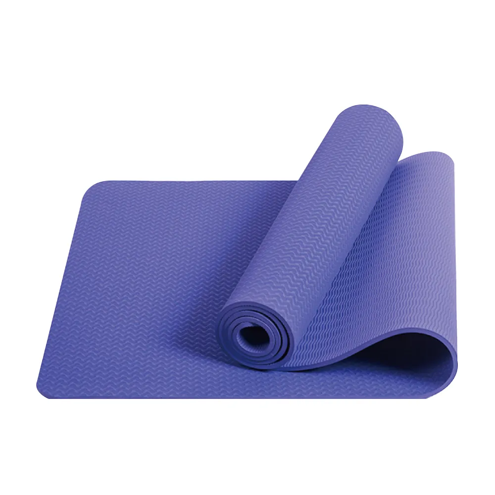 TPE環保6MM瑜珈墊 加長雙色雙層 附綁繩 5色選 183x61 瑜珈墊 伸展 防滑墊  現貨 蝦皮直送 歷史價格詳細信息