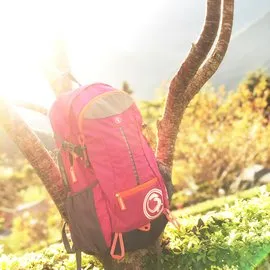 【司百客】Propalm 單速車握把 平把車皆可用-黑 歷史價格詳細信息