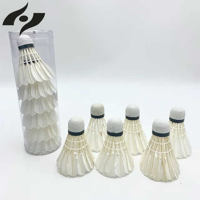 【禾亦】實心飛盤(綠)-兒童遊戲 寵物戶外玩物 歷史價格詳細信息