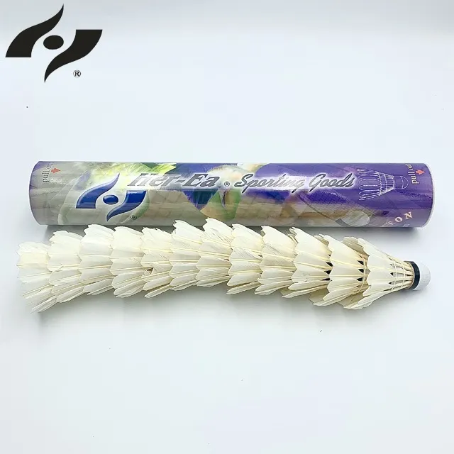 【禾亦】球網附球針-適用裝各種球，附有求針 歷史價格詳細信息