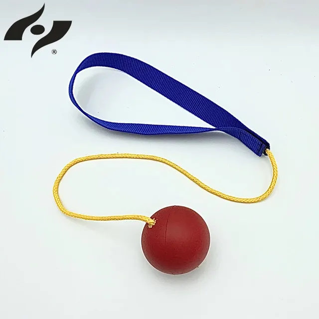 【禾亦】球網附球針-適用裝各種球，附有求針 歷史價格詳細信息