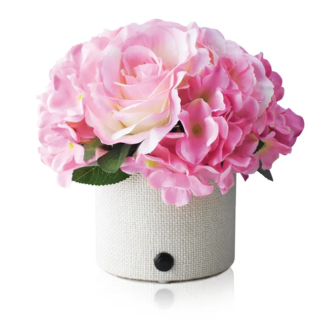 Green Hana 節能光感應玫瑰花燈－天使白 *免運 歷史價格詳細信息