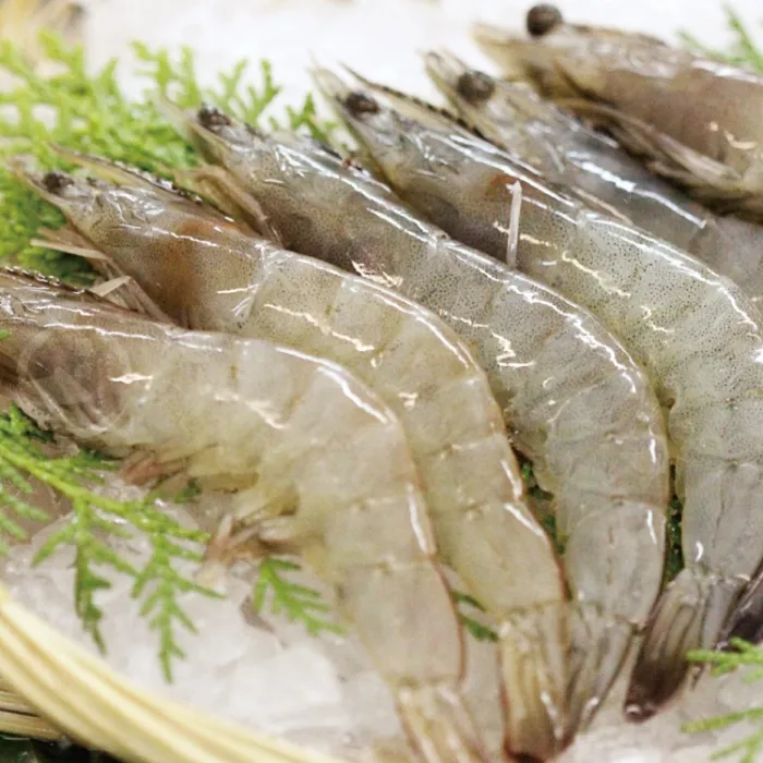 【勝崎免運直送】極品台灣黑豚超值6件組(1400公克/6包) 歷史價格詳細信息