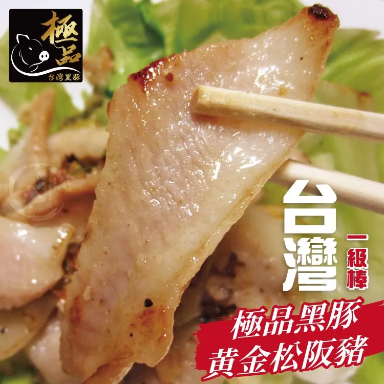 [3包免運] 國際 吸塵器集塵袋 吸塵器紙袋 一包五入 MC-3300 MC-3910 TYPE-C13 歷史價格詳細信息