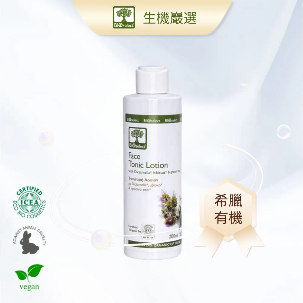 8891 1878年 和田鑄錢局打制 漢字版 五分天罡 PC4497 歷史價格詳細信息