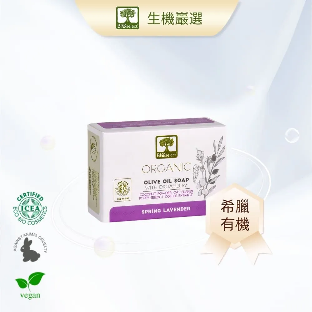 《春天》希望之線(全1冊)東野圭吾【頭大大-推理小說】甲04◎BE5 歷史價格詳細信息