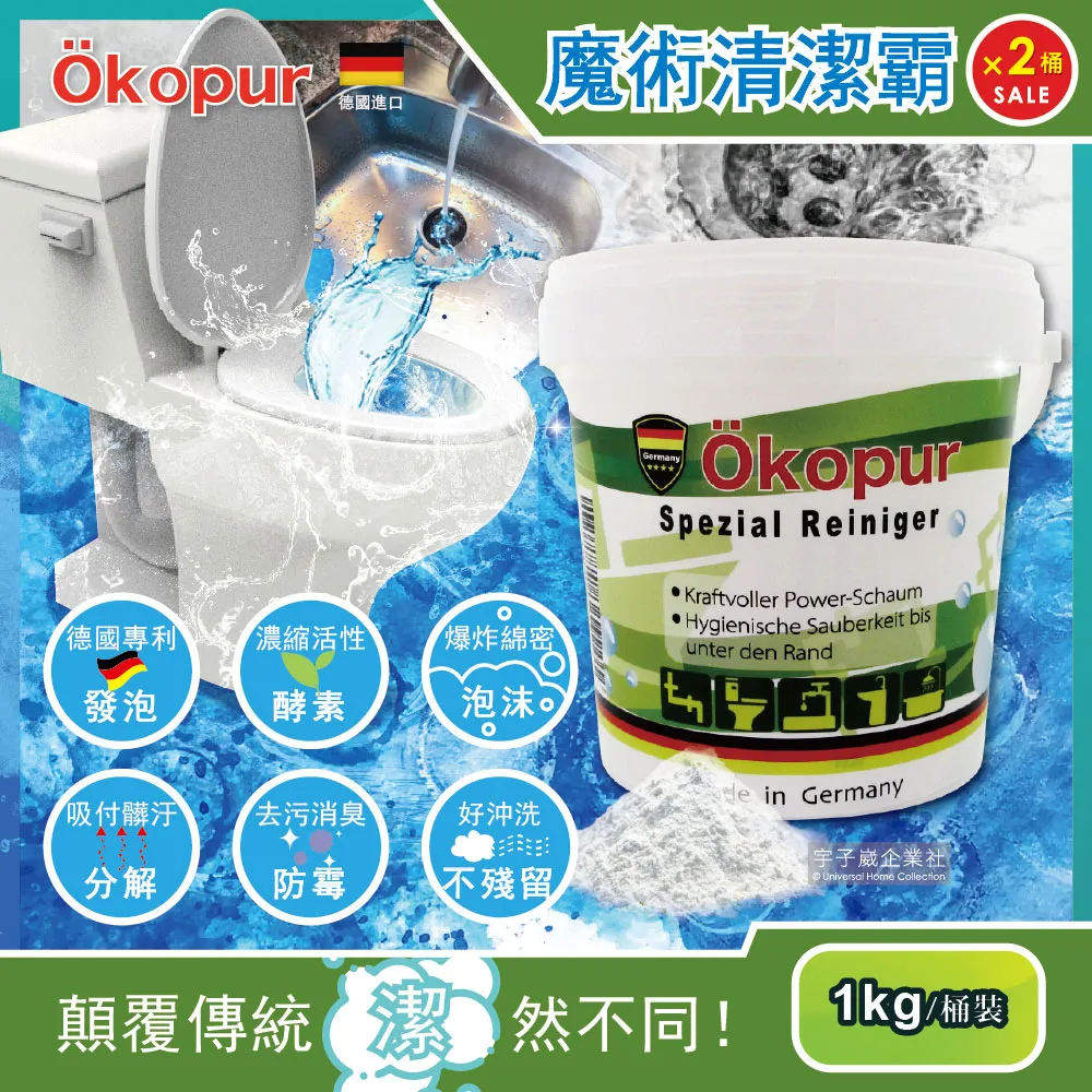 (2桶超值組)德國DM-OXI POWER活氧酵素多功能居家清潔漂白去汙粉750g/藍桶(除垢萬用去漬霸) 歷史價格詳細信息