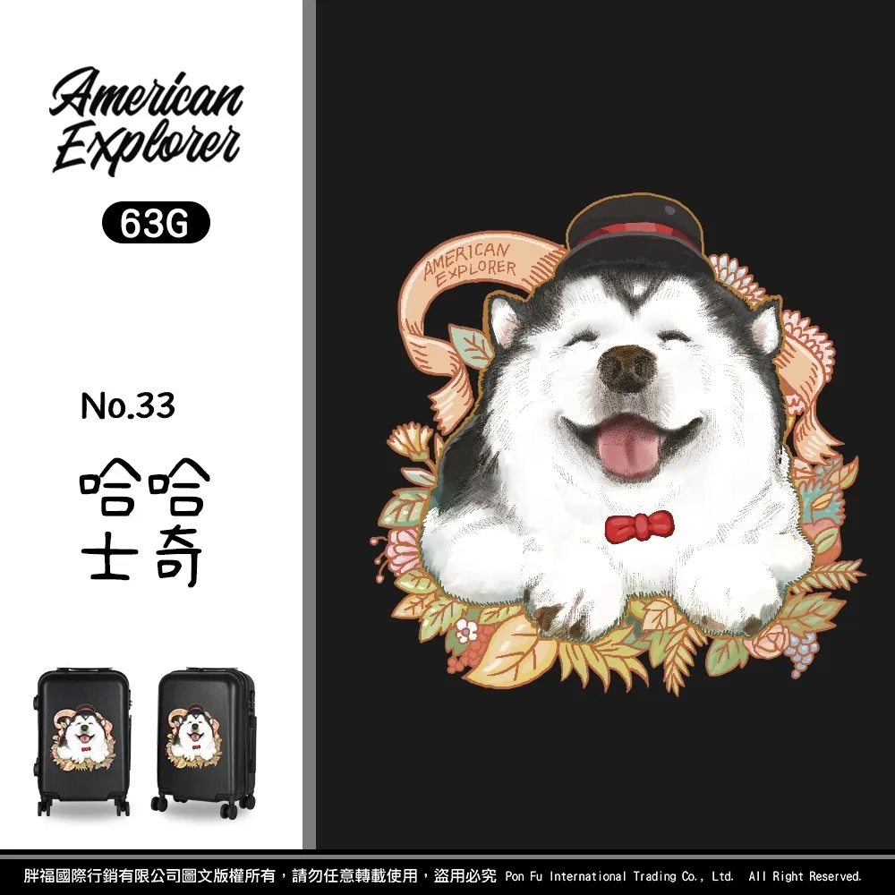 【American Explorer】20吋 雙排輪 63G/AP2/M22-YKK PLUS 登機箱 行李箱 旅行箱 歷史價格詳細信息