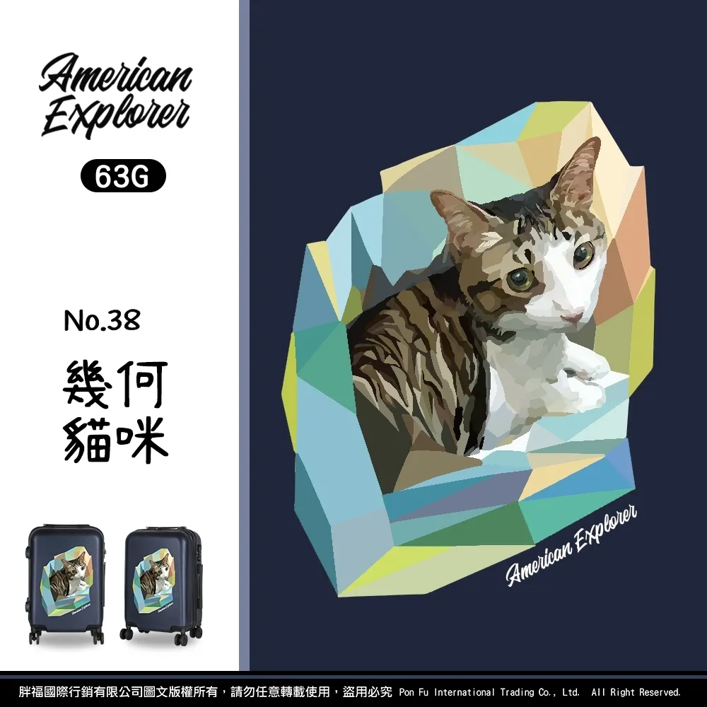 【American Explorer】20吋 雙排輪 63G/AP2/M22-YKK PLUS 登機箱 行李箱 旅行箱 歷史價格詳細信息