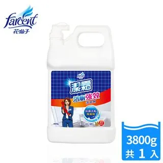 潔霜 浴廁清潔劑 噴槍500ml 冬青油 現貨 蝦皮直送 歷史價格詳細信息