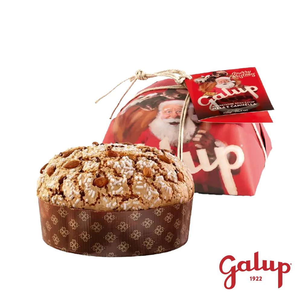 【Galup】潘朵托尼聖誕麵包 傳統果乾500g 義大利節慶麵包 歷史價格詳細信息