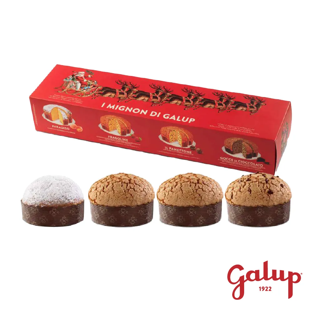 【Galup】潘朵托尼聖誕麵包 傳統果乾500g 義大利節慶麵包 歷史價格詳細信息