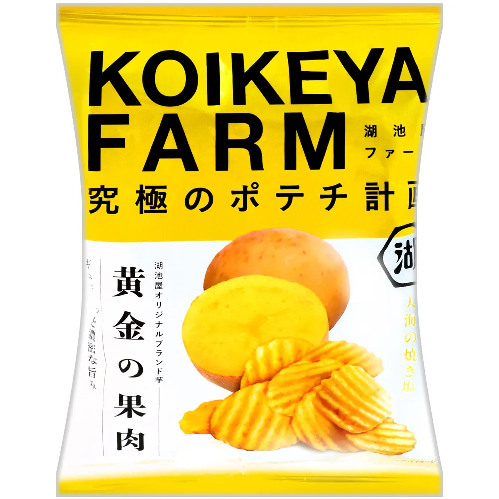 湖池屋 鹽味玉米餅-隨身包 (40g) 歷史價格詳細信息