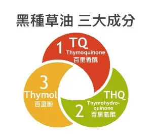 種草推薦丨upf50uv防曬帽輕騎透氣半空頂草帽女夏季百搭帽子 歷史價格詳細信息