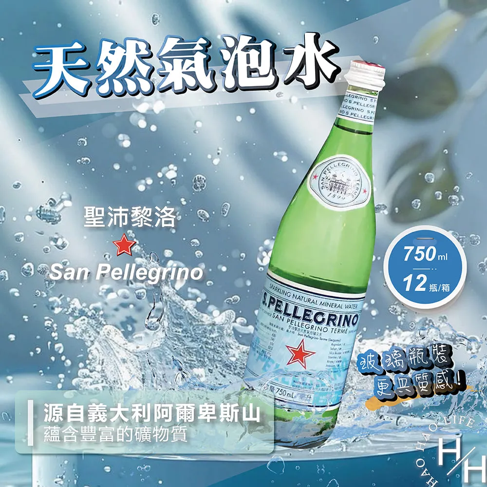 San Pellegrino 聖沛黎洛 氣泡水果飲料 葡萄柚口味 330毫升 X 24罐 D108312 歷史價格詳細信息