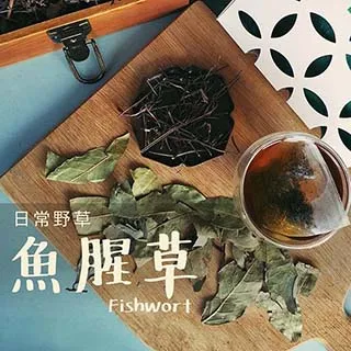 青草茶 40g/入【免濾包】【樂客來】2入 歷史價格詳細信息