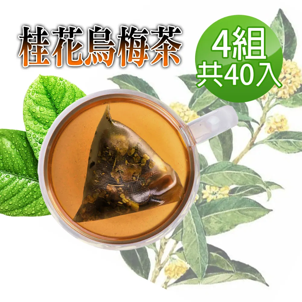 【桂花烏梅茶✔10入】買5送1║仙楂 開胃 解膩 解渴 古早味酸梅湯║花草茶 夏日養生茶 生津止渴 冷熱沖泡飲 歷史價格詳細信息