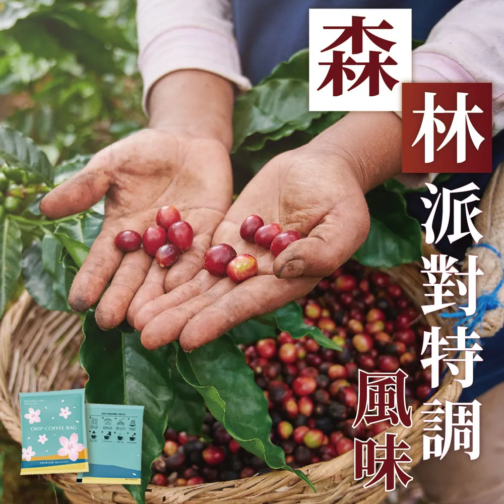 【上野物產】共20包 衣索比亞耶加雪菲水洗精品咖啡 (8g±5%/包) 濾掛咖啡 咖啡包 冷泡咖啡 歷史價格詳細信息