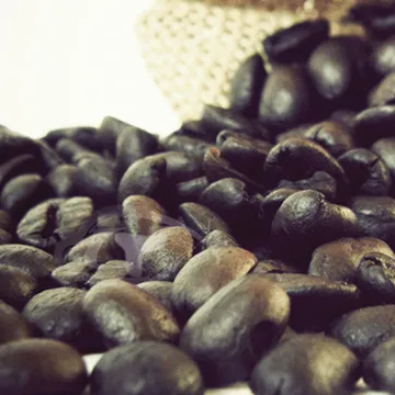 【Gustare caffe】世界頂級麝香貓屎咖啡豆(1磅) 歷史價格詳細信息