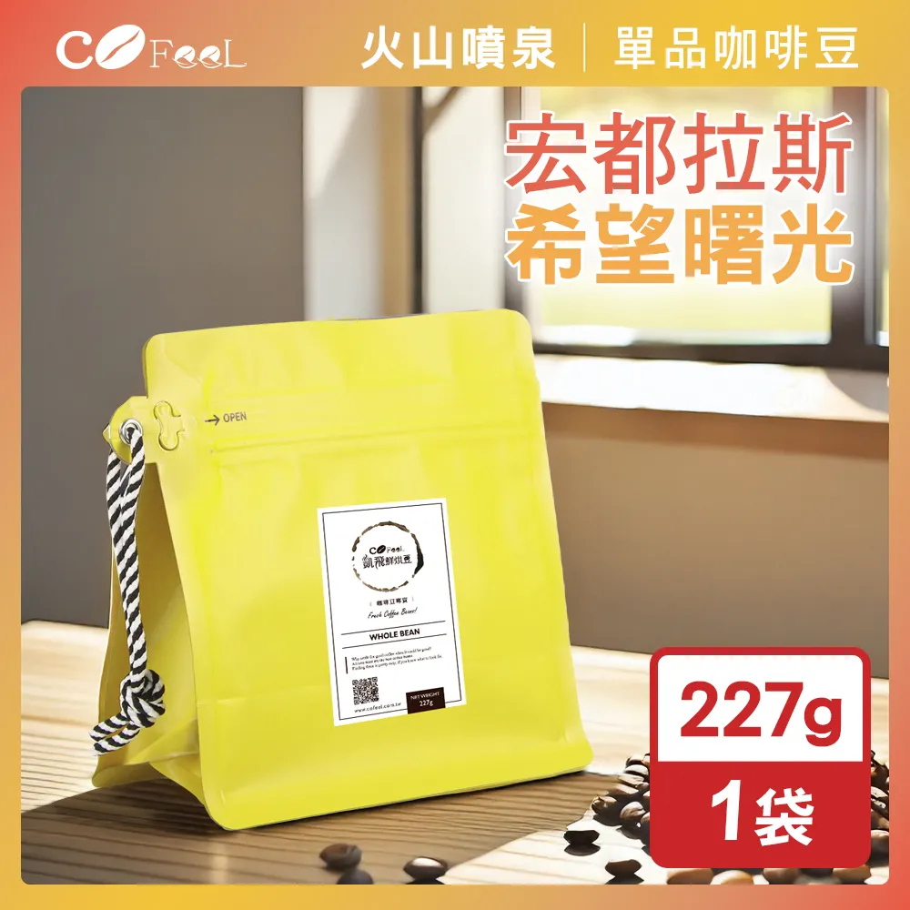 咖啡生豆 - 宏都拉斯 芭芭拉小農微批次 水洗《500g》 歷史價格詳細信息