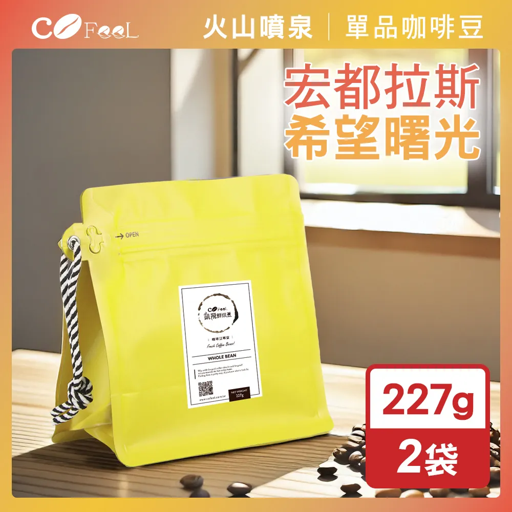 咖啡生豆 - 宏都拉斯 芭芭拉小農微批次 水洗《500g》 歷史價格詳細信息