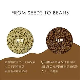 ⟪穎可達⟫熱銷新品上市 衣索比亞【寶貝藝伎】日曬/淺焙 歷史價格詳細信息