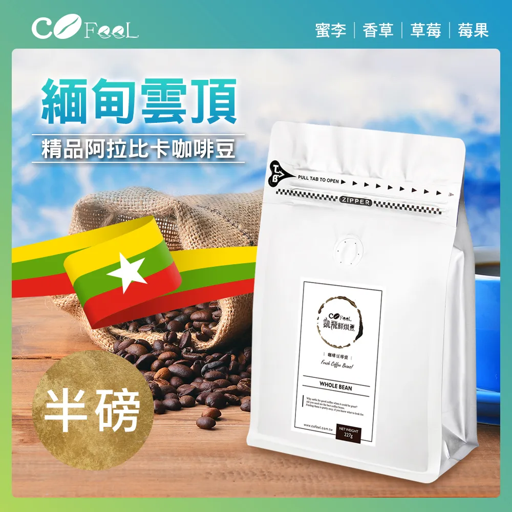 CoFeel 凱飛鮮烘豆新幾內亞天堂鳥中烘焙咖啡豆一磅 歷史價格詳細信息