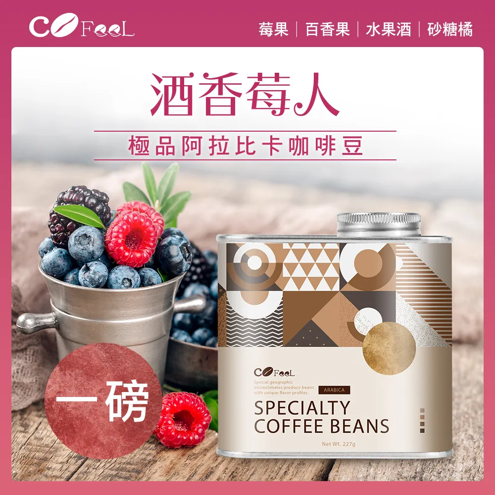 CoFeel 凱飛鮮烘豆衣索比亞谷吉淺中烘焙咖啡豆一磅 歷史價格詳細信息