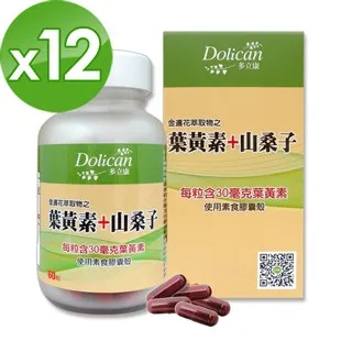 【MG】多色涼感網紗透視內睡衣 薄紗情趣性感內衣 大尺碼 歷史價格詳細信息