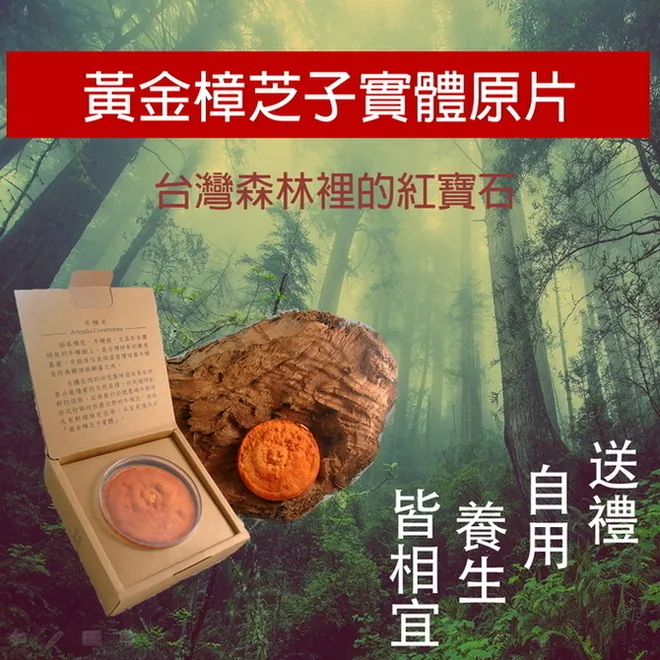 【黃金樟芝】黃金樟芝膠囊 1盒 30顆/盒(牛樟芝 樟芝子實體 樟芝菌絲體 防護力) 歷史價格詳細信息