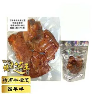 百年永續健康芝王 (四年半) 特頂大球菇牛樟芝/菇 生鮮品 37.5g/1兩 歷史價格詳細信息