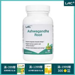 南北醉拳 經典功夫電影 DVD收藏版 袁小田/黃正利/元奎 歷史價格詳細信息