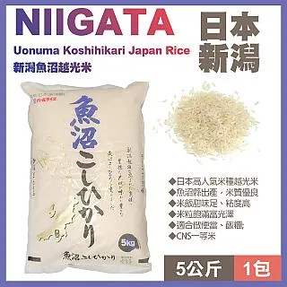 新沼謙治 1998 全曲集 / 流浪人 【日版全新未拆】見本品 歷史價格詳細信息