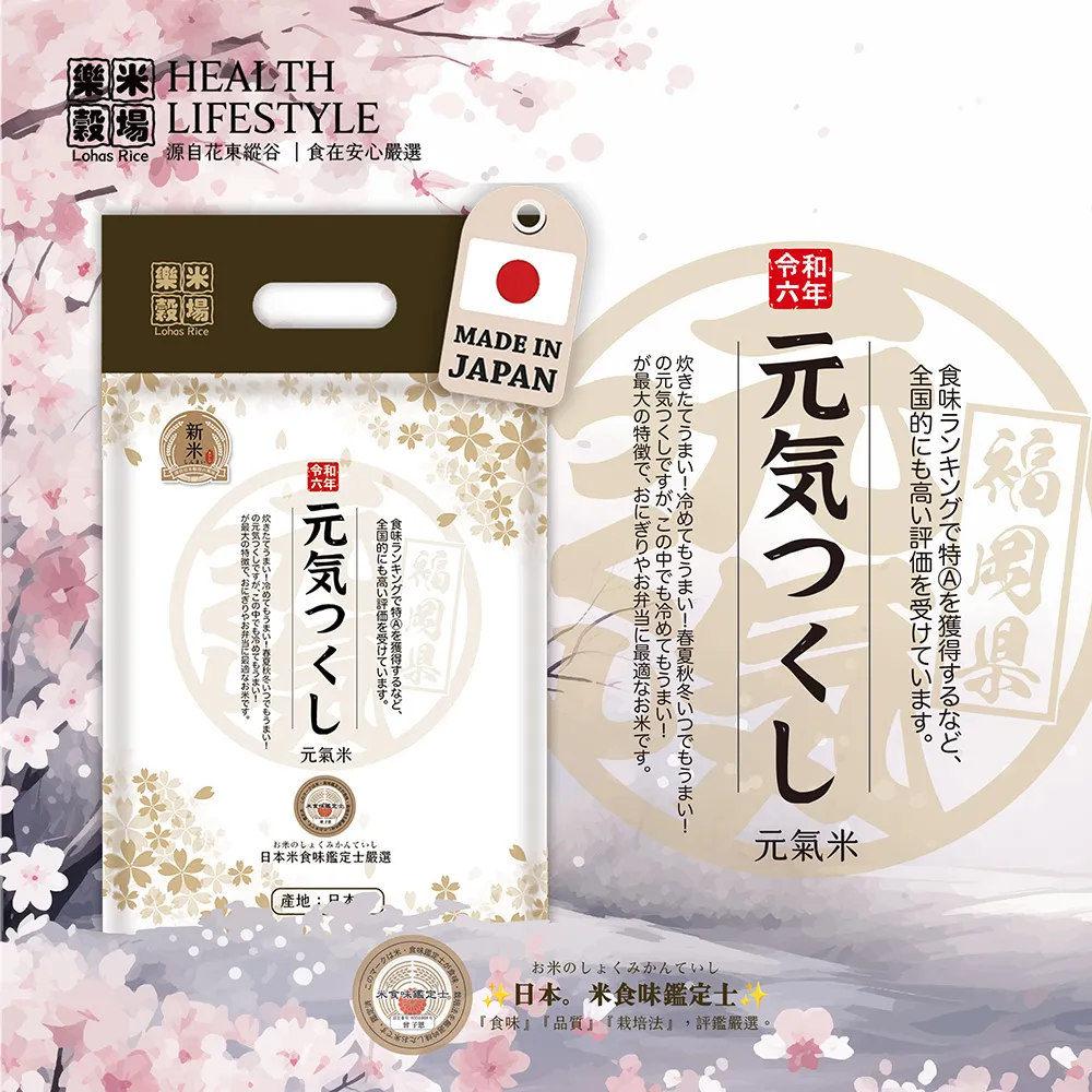 日本 伊福穀粉 名城六條麥茶  現貨 蝦皮直送 歷史價格詳細信息