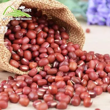 小農夫 台南5號-國產粉綠豆5包組(500g/包) 歷史價格詳細信息