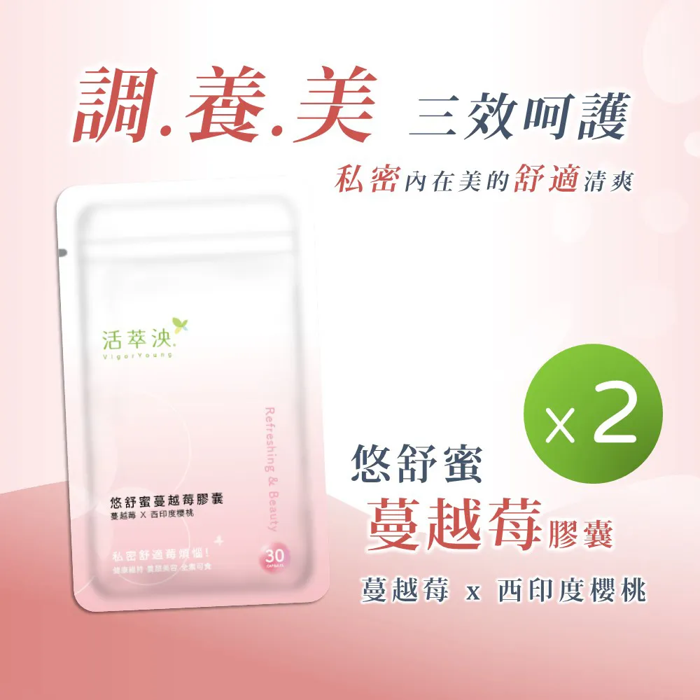 余命．為愛而生 DVD 松雪泰子 椎名桔平 主演 590600001512 再生工場02 歷史價格詳細信息