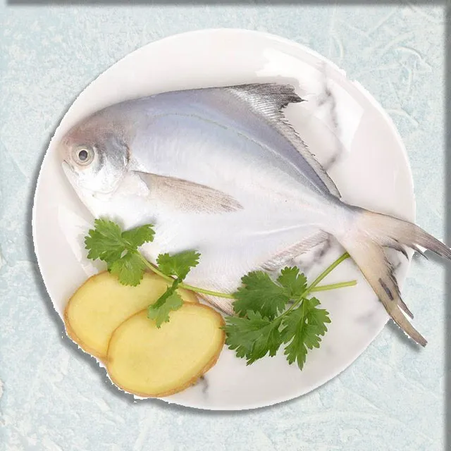 館長 notorious 台灣製造真皮斜背包 歷史價格詳細信息