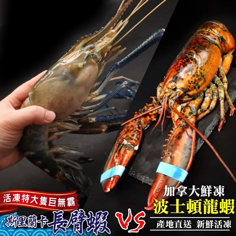 【海肉管家】斯里蘭卡長臂蝦VS鮮凍大草蝦30隻 歷史價格詳細信息