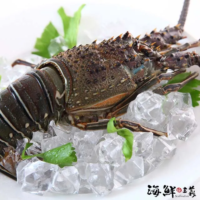 【海鮮主義】極鮮特選裹粉牡蠣2包組(500g/包;18-22粒/包) 歷史價格詳細信息