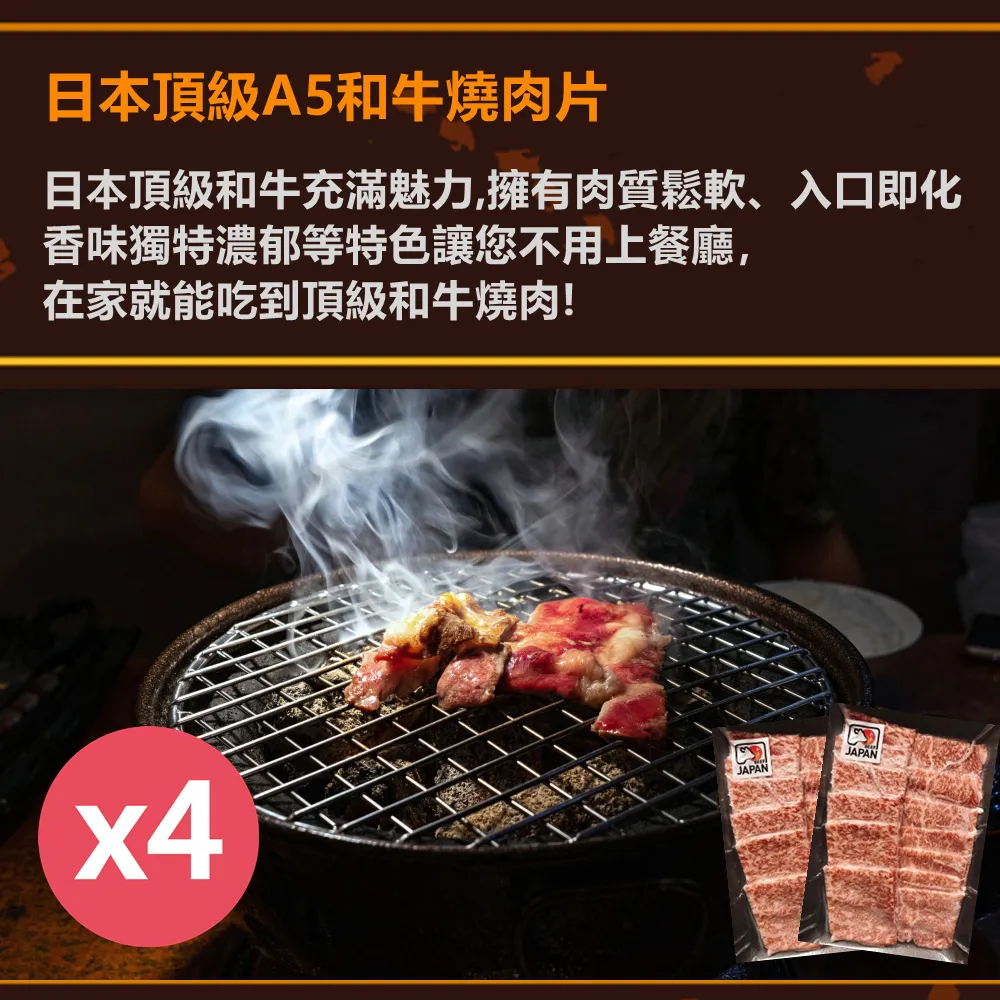 【日本和牛】日本頂級A5和牛燒肉片100gX3盒(肉質鮮嫩/入口即化) 歷史價格詳細信息