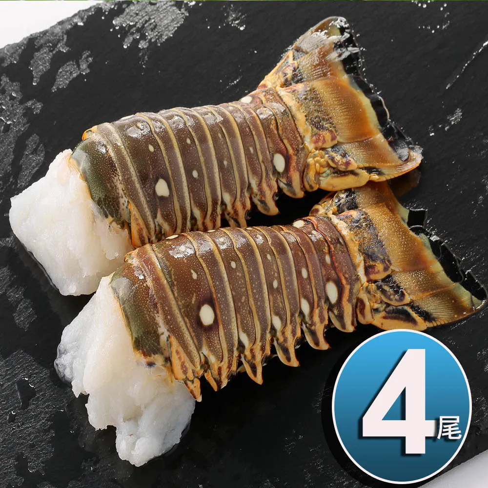 【華得水產】野生智利特大鮑魚8包組(1包2入-總共250g/包) 歷史價格詳細信息