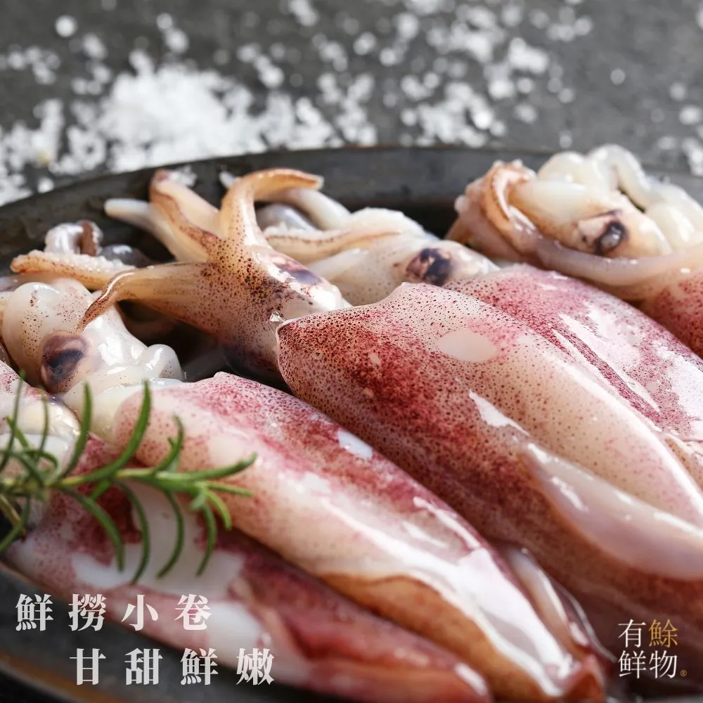 【有鮽鮮物】【免運】鮮凍野生小卷(真空包裝 尺寸: 10/12 cm X3包/300g±30g/包) 歷史價格詳細信息