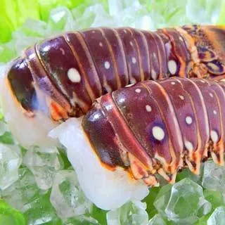 【華得水產】野生智利特大鮑魚8包組(1包2入-總共250g/包) 歷史價格詳細信息