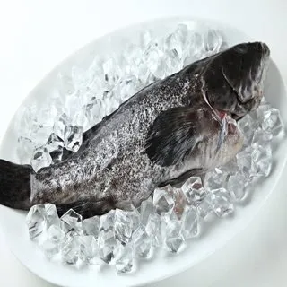 【華得水產】青斑石斑魚4尾(400-490g/尾) 歷史價格詳細信息