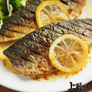 【上野物產】巨無霸挪威薄鹽鯖魚片（200g±10%/片）x19片 歷史價格詳細信息